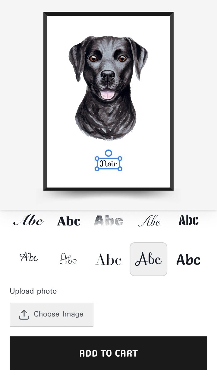 Podifai product customizer — custom pet portrait frame gift